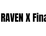 Raven X Finance Review